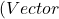(Vector