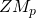 \mul{Z}{M_p}