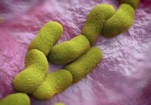 Read more about the article प्लेग (Plague)