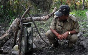 Read more about the article प्राणी गणना (Animal census)