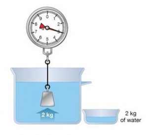 आर्किमिडीज तत्त्व (Archimedes Principle)