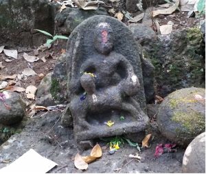 Read more about the article देवराई (Sacred Grove)