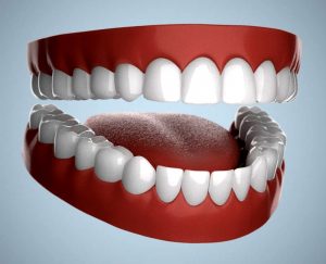 Read more about the article मानवी दात (Human Teeth)