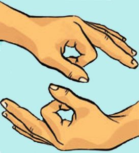 Read more about the article ज्ञानमुद्रा (Dnyanmudra)