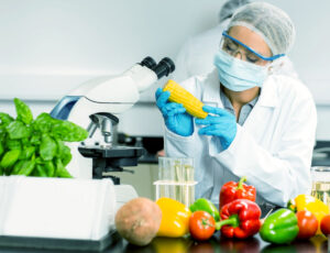 Read more about the article अब्जांश अन्न उद्योग (Nanotechnology in the Food Industry)
