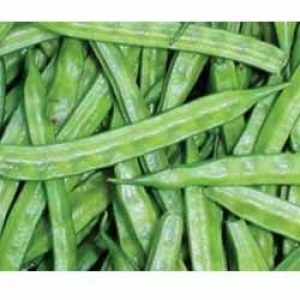 Read more about the article गवार (Cluster bean)