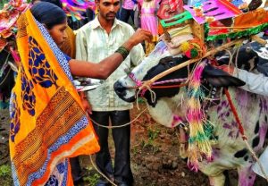 Read more about the article पोळा (Pola)