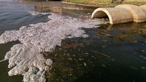 Read more about the article जल प्रदूषण (Water pollution)