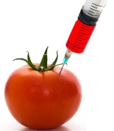 Read more about the article जनुकीय परिवर्तित पिके (Genetically modified crops)