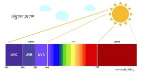 Read more about the article जंबुपार प्रारण (Ultravoilet radiation)