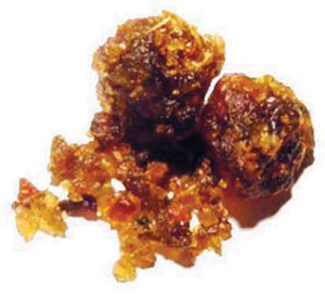Read more about the article गुग्गूळ (Guggul)