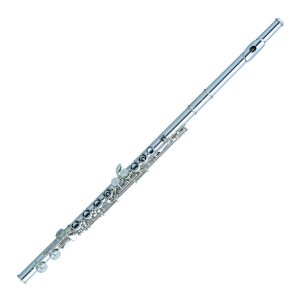 Read more about the article फ्ल्यूट (Flute)
