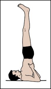 Read more about the article सर्वांगासन (Sarvangasana)