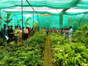 अग्रणी वनस्पती उद्याने (Lead Botanic Gardens)