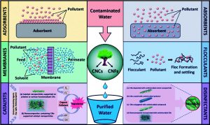 Read more about the article अब्जांश तंत्रज्ञान : पर्यावरण संरक्षण, प्रतिबंध आणि नियंत्रण (Nanotechnology : Environmental Protection, Prevention & amp; Control)