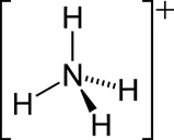 अमोनियम लवणे (Ammonium salts)