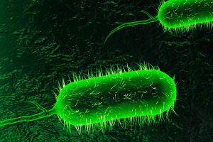 Read more about the article पटकी (Cholera)