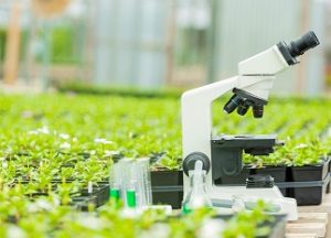 Read more about the article पर्यावरणविज्ञान (Environment science)