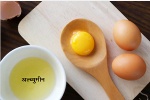अल्ब्युमीन (Albumin)
