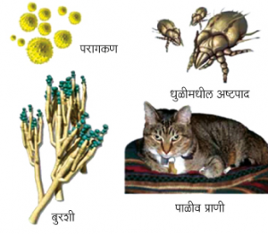 अधिहर्षता (Allergy)