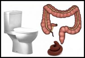 Read more about the article पुरीष (Purish / Stool)