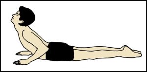 Read more about the article भुजंगासन (Bhujangasana)
