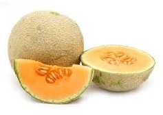 खरबूज (Muskmelon )
