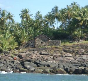 Read more about the article गुन्हेगारांच्या वसाहतींचे पुरातत्त्व (Archaeology of Penal Settlements)