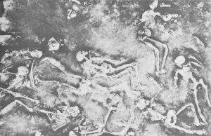 Read more about the article वंशसंघर्षाचे पुरातत्त्व (Racial Conflict Archaeology)