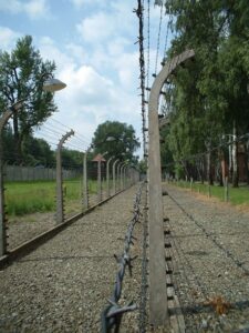Read more about the article बंदिछावण्यांचे पुरातत्त्व (Internment Camp Archaeology)