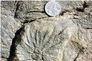 Read more about the article भूवैज्ञानिकीय आश्चर्य : खडकांवरील चक्राकार खुणा (Geological Marvels : Eddy Current Markings)