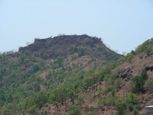 Read more about the article पालगड (Palgad)