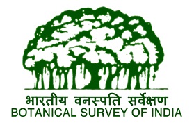 Read more about the article भारतीय वनस्पती विज्ञान सर्वेक्षण संस्था (Botanical Survey of India)