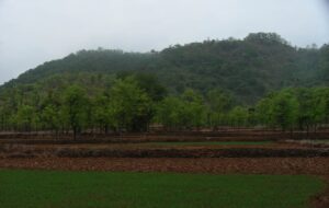 Read more about the article माणिकदुर्ग (Manikdurg)