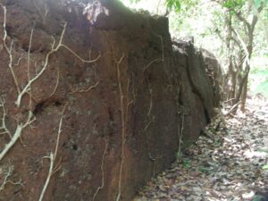 Read more about the article कासारदुर्ग (Kasardurg)