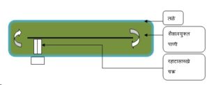 Read more about the article शैवल : भविष्यातील जैव इंधन स्रोत (Algae : Source of Bio-fuel in Future)