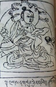 Read more about the article नागनाथ (सिद्ध नागार्जुन) (Nagnath)