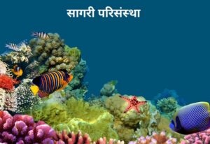 Read more about the article सागरी परिसंस्था (Marine Ecosystem)