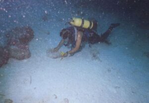 Read more about the article जहाजबुडीचे पुरातत्त्व : लक्षद्वीप (Shipwreck Archaeology : Lakshadweep)