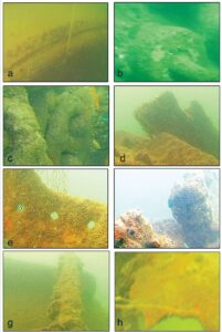 Read more about the article जहाजबुडीचे पुरातत्त्व : ओडिशा (Shipwreck Archaeology : Odisha)