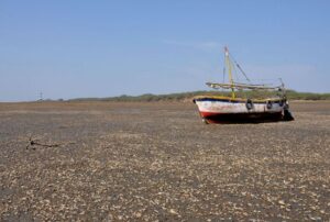 Read more about the article पिरम बेट (Piram Island)