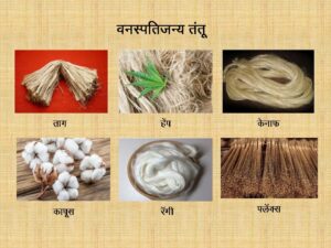 Read more about the article वनस्पतिजन्य तंतू (Plant fiber)
