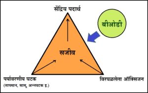 Read more about the article जैविक ऑक्सिजन मागणी (Biological Oxygen Demand)