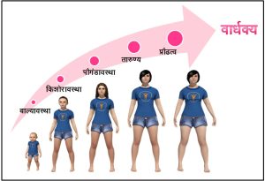 Read more about the article वार्धक्य (Ageing)
