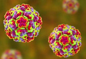 Read more about the article सर्दी (Common cold)