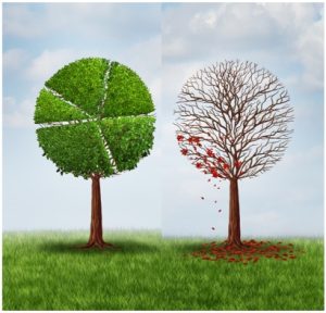 Read more about the article हवामान बदल (Climate change)