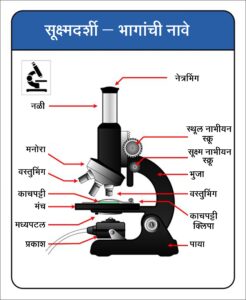 सूक्ष्मदर्शी (Microscope)