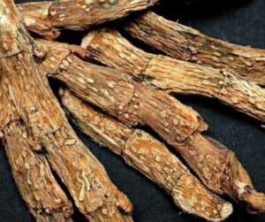 Read more about the article वेखंड (Sweet flag)
