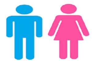 Read more about the article लिंगभाव आणि विकास (Gender and Development)