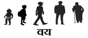 वय (Age)